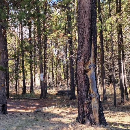 DiamondStone Guest Lodges La Pine Extérieur photo